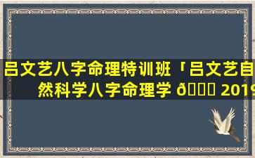 吕文艺八字命理特训班「吕文艺自然科学八字命理学 🐟 2019」